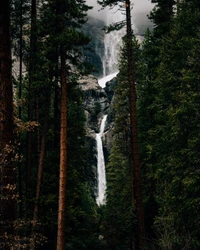 Explora la belleza de Yosemite: Fondo de pantalla de cascada majestuosa