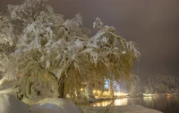 Explora Nuestro Hermoso Fondo de Paisaje Invernal