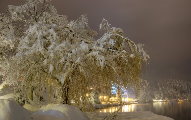 Explore Our Beautiful Winter Landscape Wallpaper