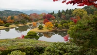 Appréciez la Tranquillité de Cette Réflexion de Jardin d'Automne