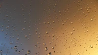 Descarga un impresionante fondo de pantalla de gotas de lluvia