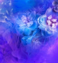 Découvrez notre magnifique fond d'écran de fleurs violettes et bleues