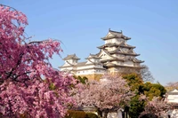 Download Our Captivating Himeji Castle Wallpaper