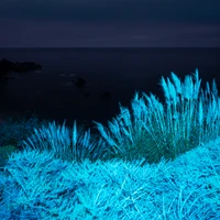 Éblouissant Fond d'Écran de Paysage Nocturne Infrarouge