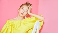 Fond d'Écran de Kang Seulgi de Red Velvet – Idéal pour l'Été