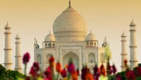 Fondo de Pantalla del Hermoso Taj Mahal para Embellecer Tu Espacio