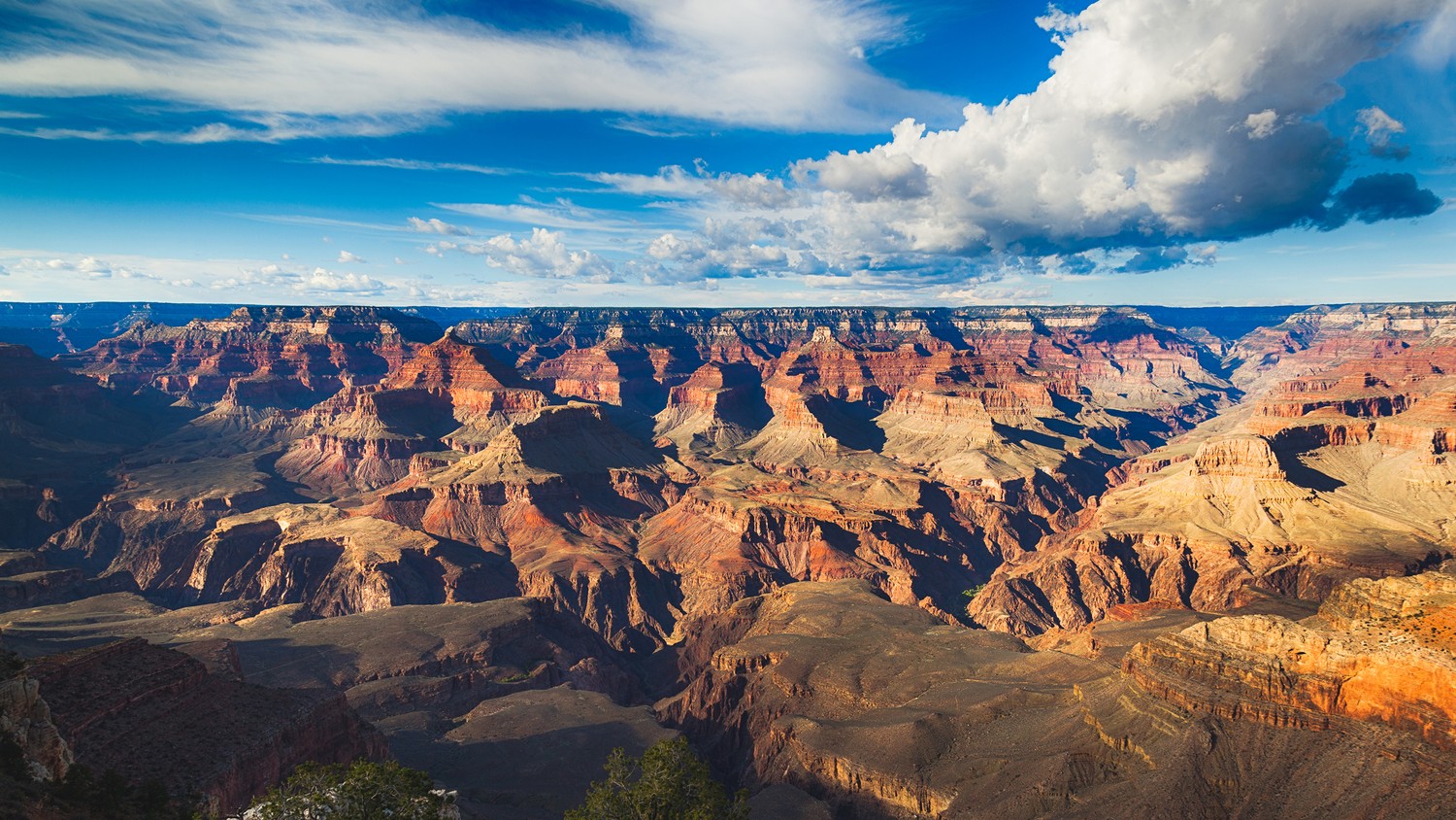 Explore the Majestic Grand Canyon Wallpaper