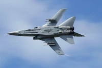 Panavia Tornado Wallpaper - High-Quality Military Aircraft