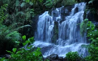 Explora la Belleza de una Cascada Tropical