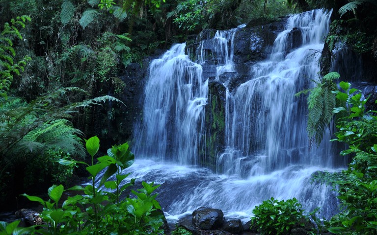 Explore the Beauty of a Tropical Waterfall