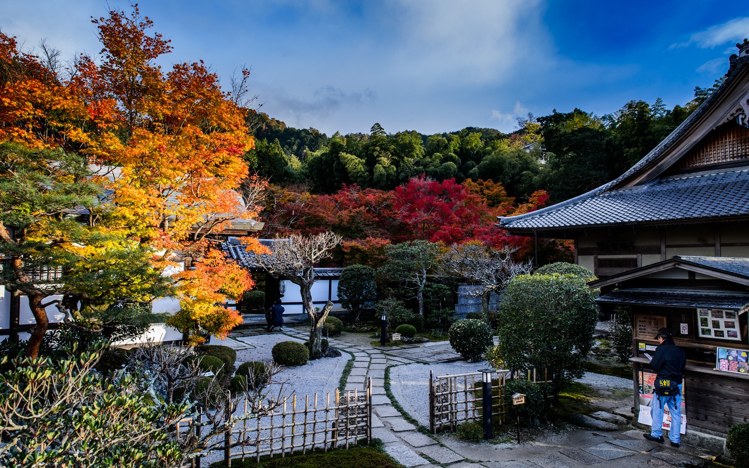 Autumn Serenity in a Japanese Garden