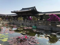 Explora la Belleza de los Jardines Tradicionales de Hong Kong