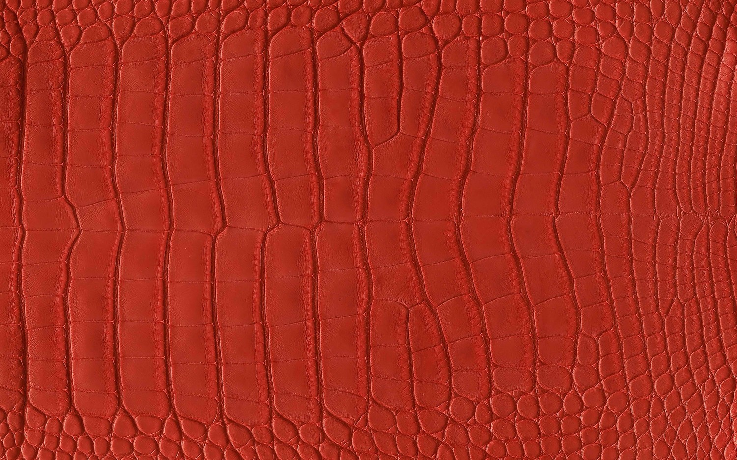 Stunning Red Crocodile Skin Wallpaper for Your Device