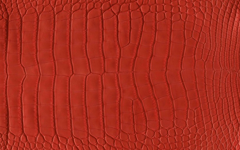 Stunning Red Crocodile Skin Wallpaper for Your Device