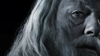 Albus Dumbledore Wallpaper Download