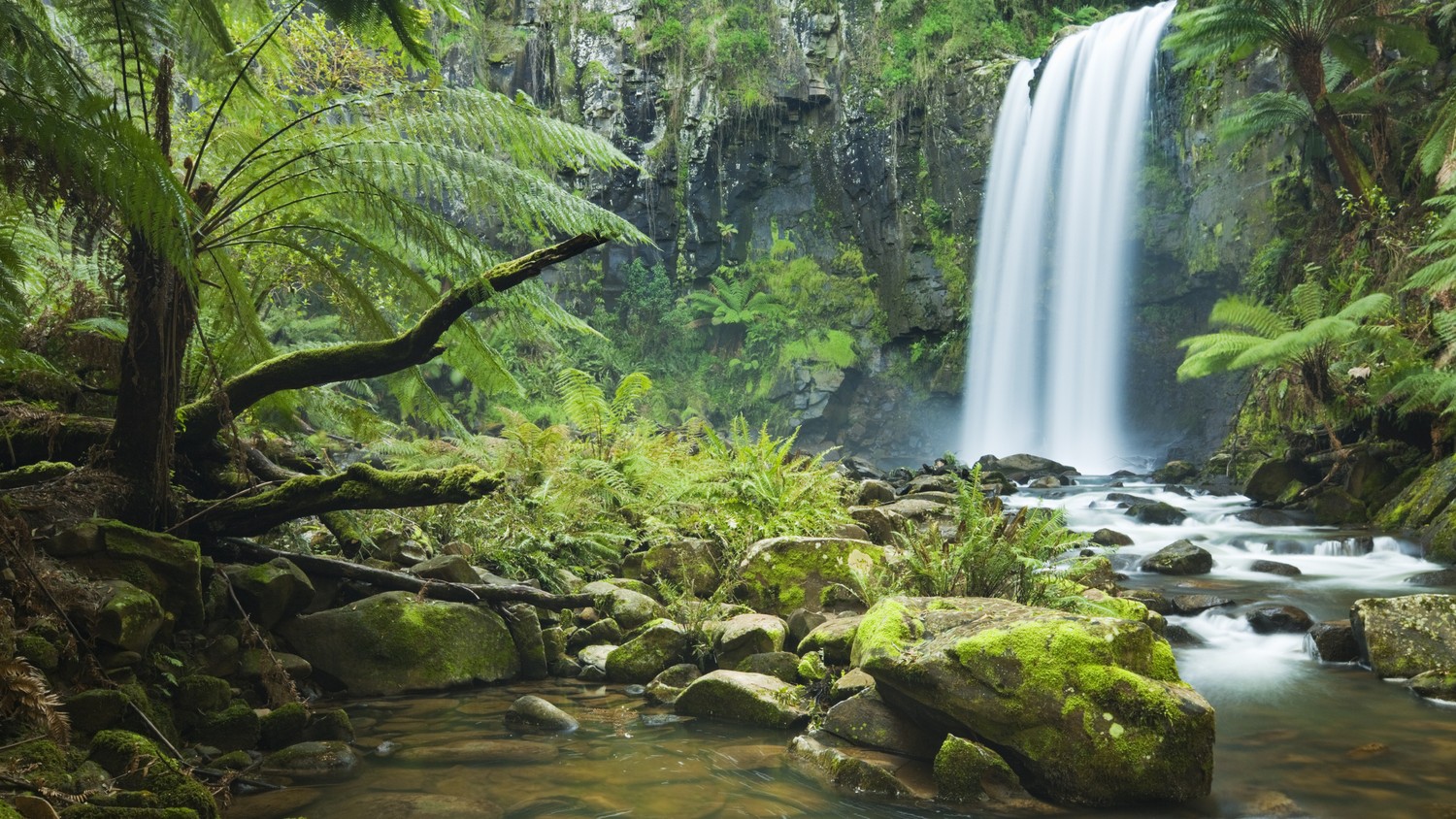 Download the Serene Hopetoun Falls Wallpaper