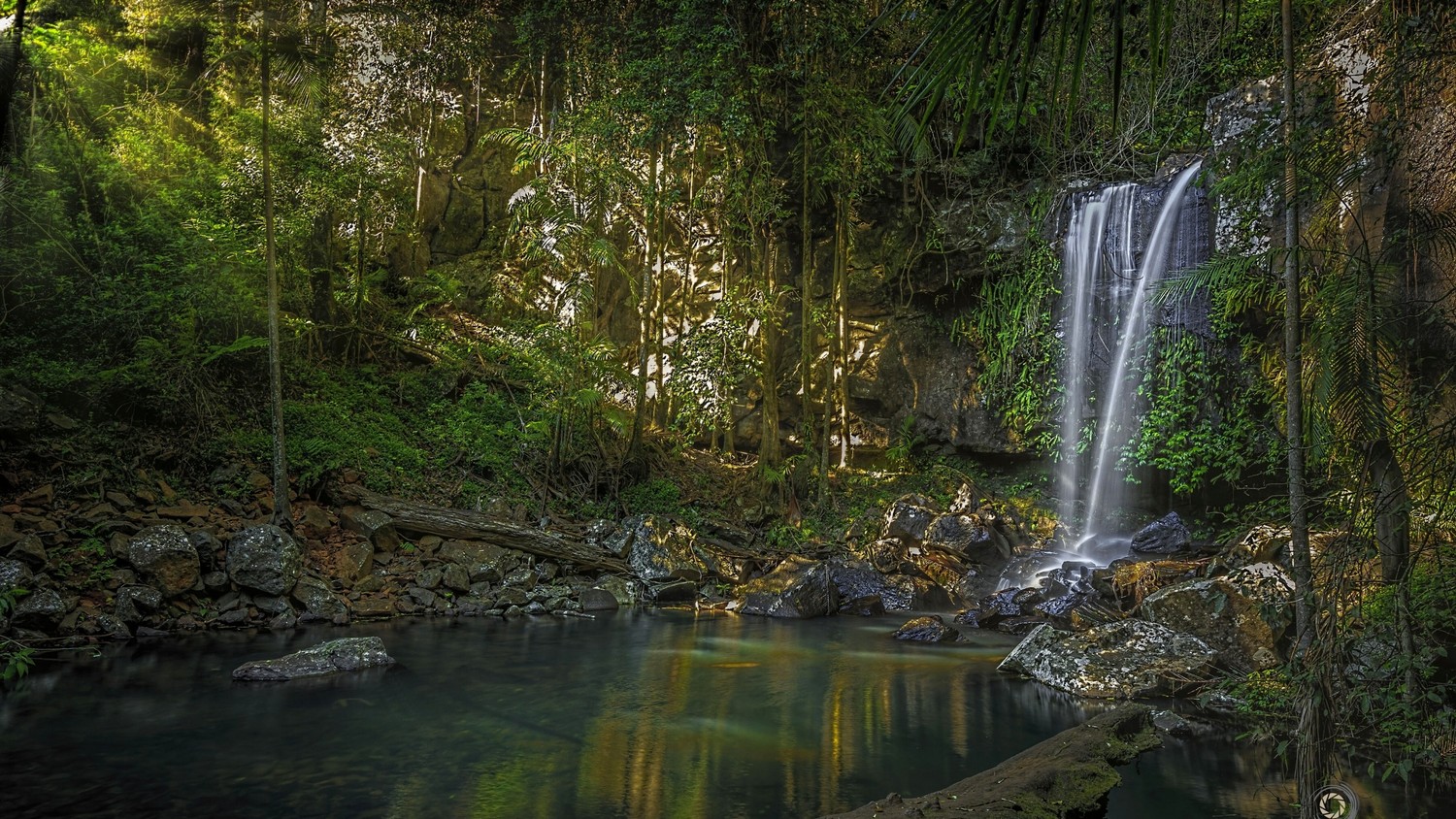 Experience the Tranquility of a Tropical Waterfall