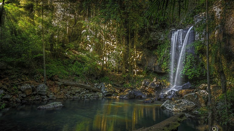 Experience the Tranquility of a Tropical Waterfall