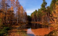 Experimenta la Belleza de las Reflexiones de Otoño en la Naturaleza