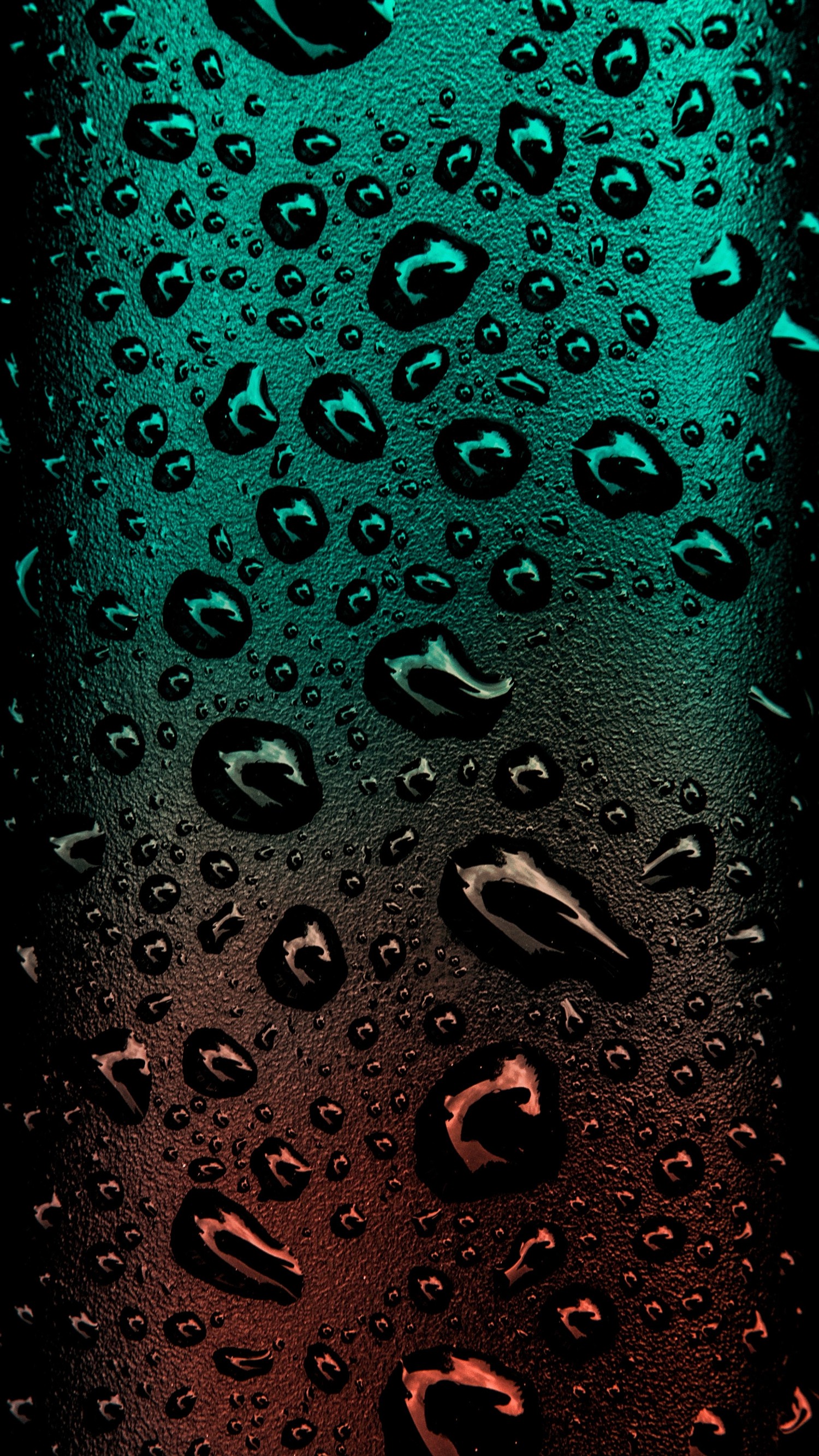 Explore Our Vibrant Water Droplets Wallpaper