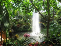 Découvrez Notre Magnifique Fond d'Écran de Jardin Botanique