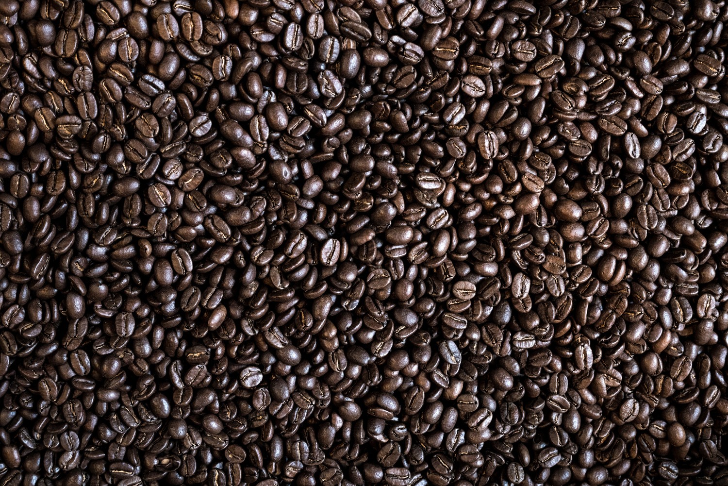 Stunning Wallpaper of Roasted Coffee Beans