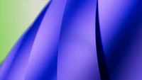 Téléchargez un Superbe Fond d'Écran Macro Abstrait Violet en 4K