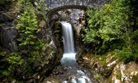 Descubre la Serenidad de una Cascada en Mount Rainier