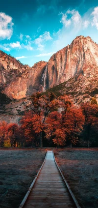 Découvrez la Beauté de la Nature avec Notre Fond d'Écran de Parc National