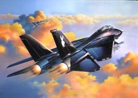 Grumman F-14 Tomcat - Una Maravilla del Arte de la Aviación