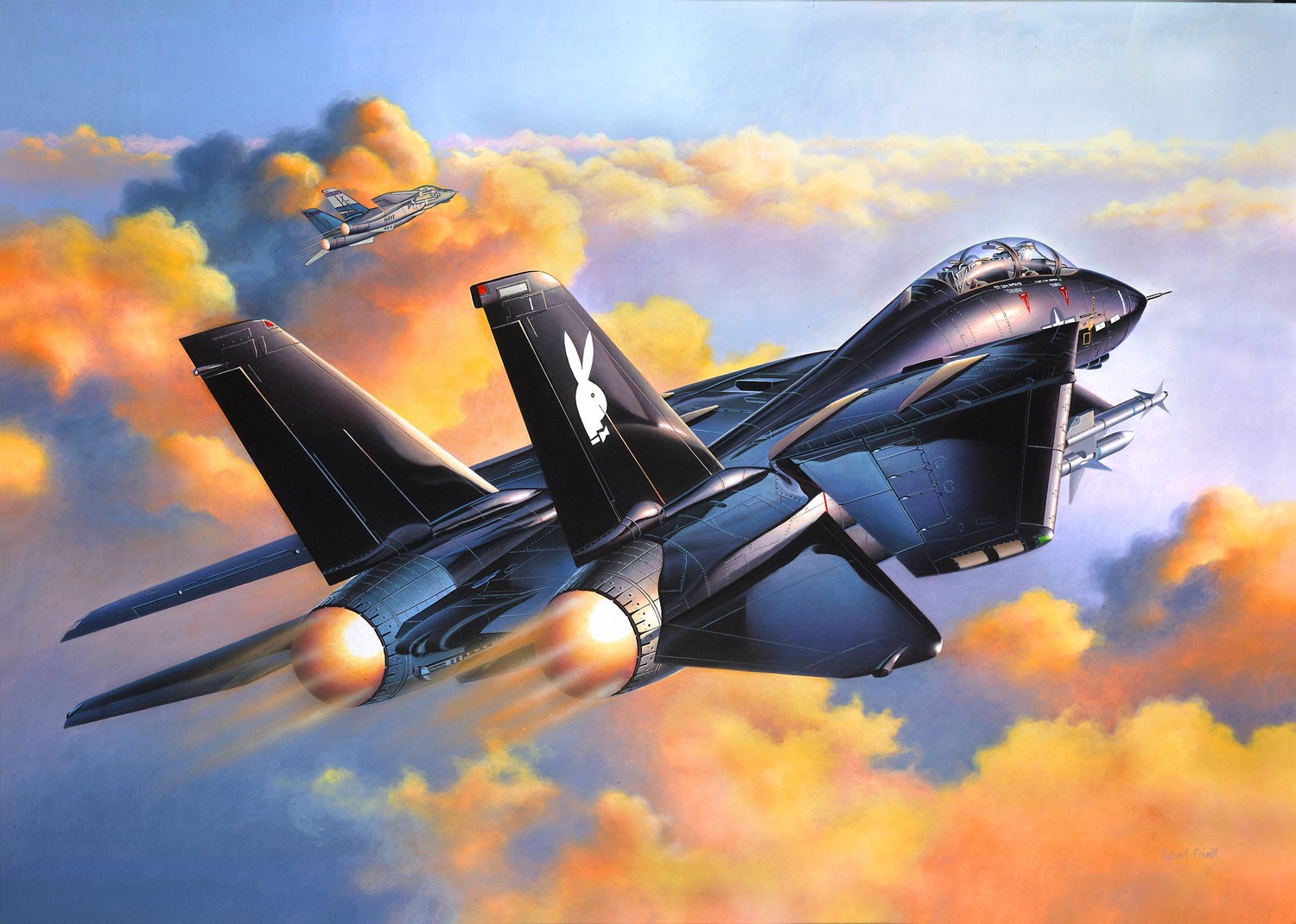 Grumman F-14 Tomcat - A Marvel of Aviation Art