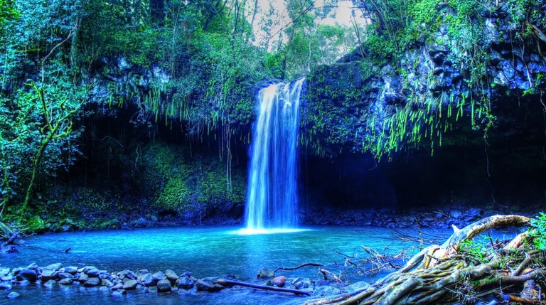 Immerse Yourself in This Breathtaking Tropical Waterfall