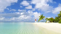 Experience Paradise with Our Tropical Beach Wallpaper