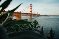 Descarga un Impresionante Fondo de Pantalla del Puente Golden Gate al Atardecer