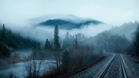 Découvrez la Beauté des Voies de Train Brumeuses