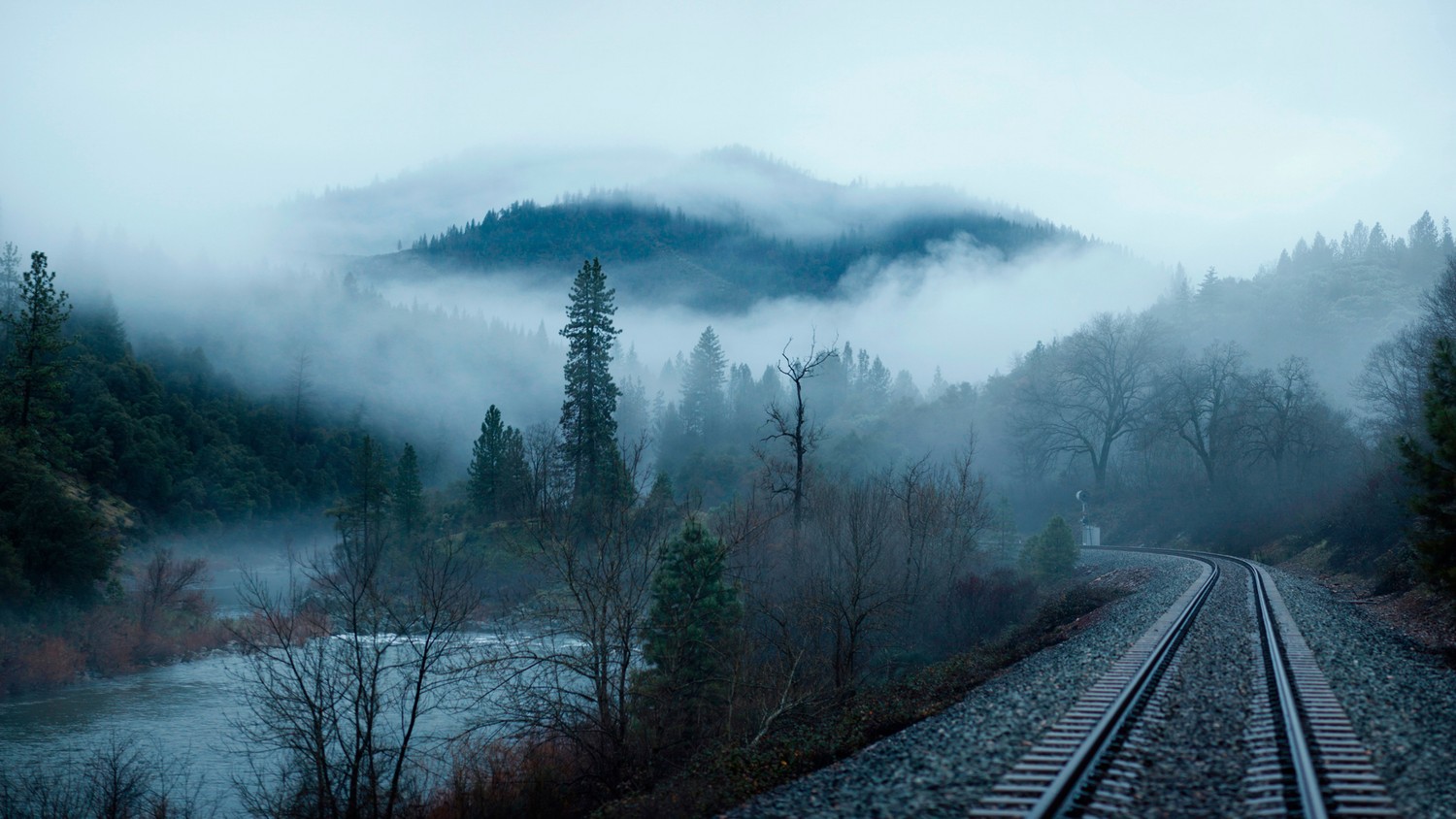 Explora la Belleza de las Vías de Tren con Niebla