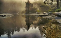 Reflet Matinal Éblouissant dans des Eaux Tranquilles