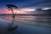 Breathtaking Dusk Sunset Over the Ocean