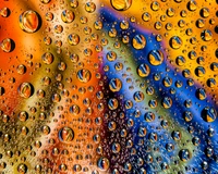 Explore Our Close-Up Water Droplets Wallpaper