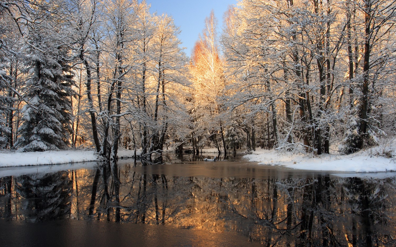 Breathtaking Winter Reflection Wallpaper