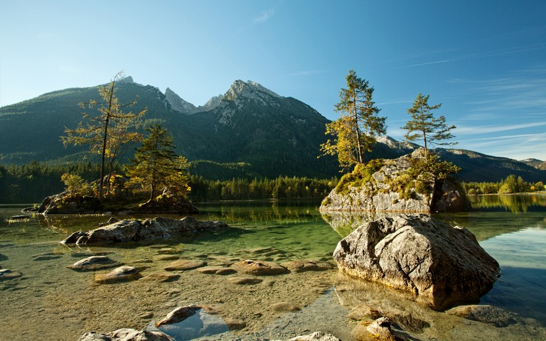 Explore the Beauty of Denali National Park & Preserve