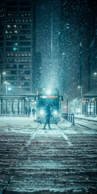 Descubre la Belleza de una Ciudad Invernal Nevada en Seúl