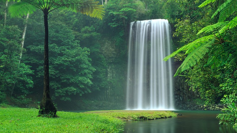 Explore the Serene Beauty of Nature with this Waterfall Wallpaper