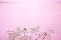 Stunning Floral Wallpaper Featuring Delicate White Flowers on Pink