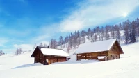 Cabane de Bois Neigeuse dans un Paysage Hivernal