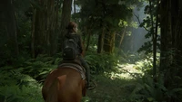 Explore Our Ellie Wallpaper from The Last of Us Part 2