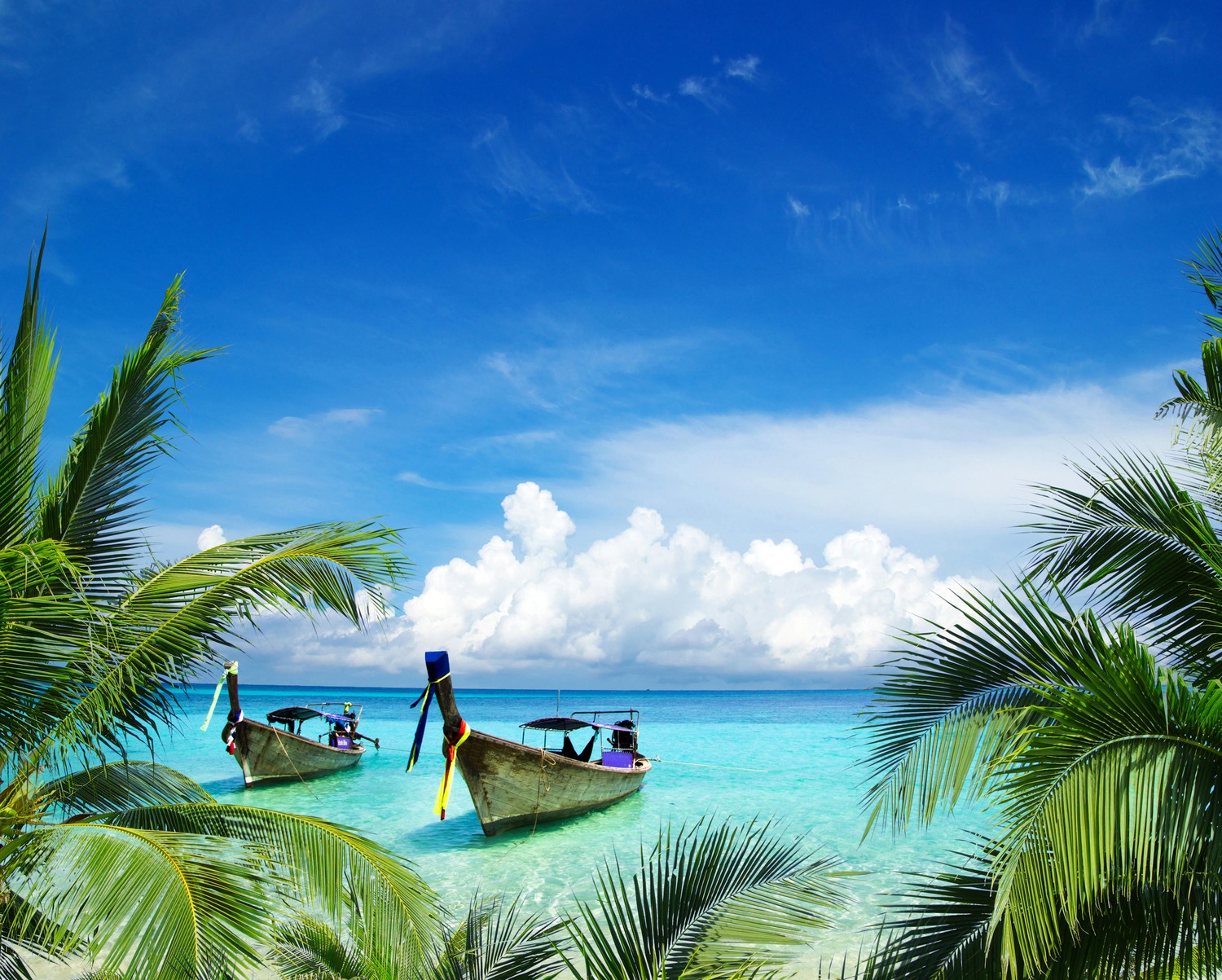 Explore the Beauty of Tropical Beaches with Our Wallpaper