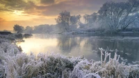 Hermosas Reflexiones de Invierno en Agua