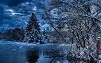 Winter Wonderland: A Breathtaking Snowy Landscape