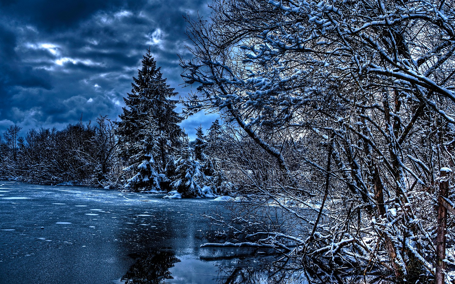 Winter Wonderland: A Breathtaking Snowy Landscape